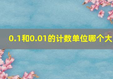 0.1和0.01的计数单位哪个大