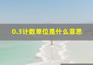 0.3计数单位是什么意思