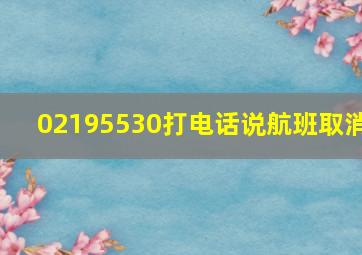 02195530打电话说航班取消