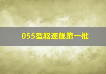 055型驱逐舰第一批