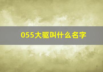 055大驱叫什么名字