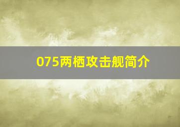 075两栖攻击舰简介