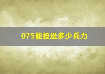 075能投送多少兵力