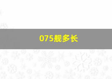 075舰多长