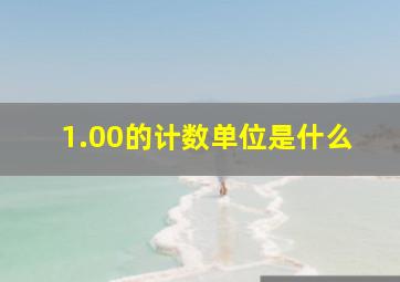 1.00的计数单位是什么