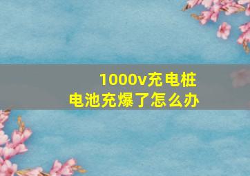 1000v充电桩电池充爆了怎么办