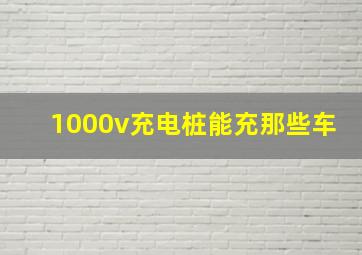 1000v充电桩能充那些车