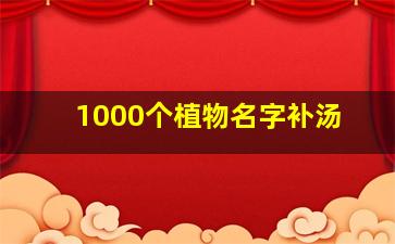 1000个植物名字补汤