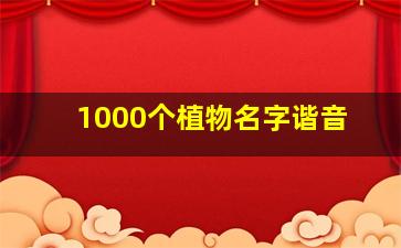 1000个植物名字谐音