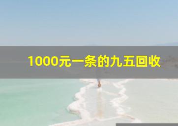 1000元一条的九五回收