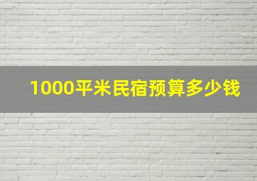 1000平米民宿预算多少钱