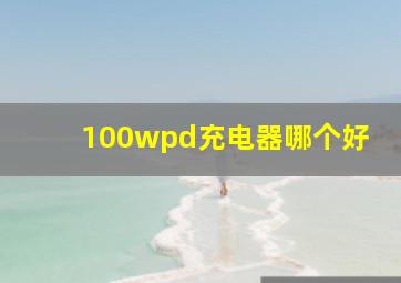 100wpd充电器哪个好