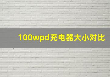 100wpd充电器大小对比