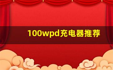 100wpd充电器推荐