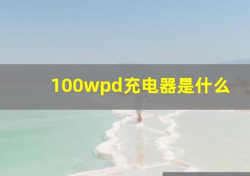 100wpd充电器是什么