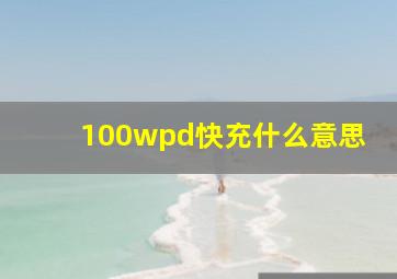 100wpd快充什么意思