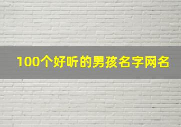 100个好听的男孩名字网名