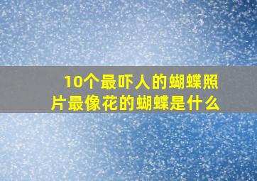 10个最吓人的蝴蝶照片最像花的蝴蝶是什么