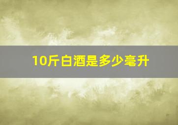 10斤白酒是多少毫升