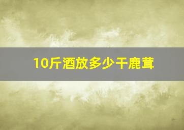 10斤酒放多少干鹿茸