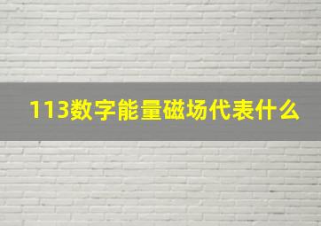 113数字能量磁场代表什么