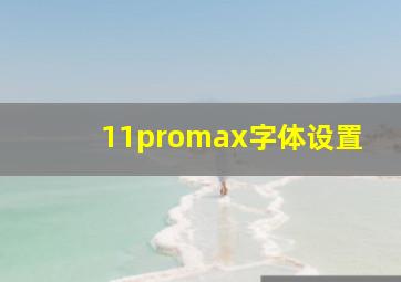 11promax字体设置