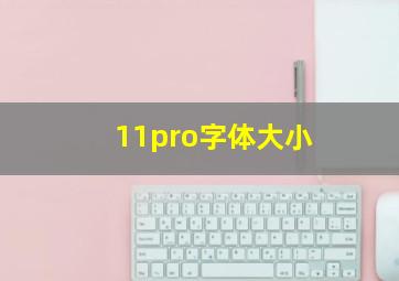 11pro字体大小