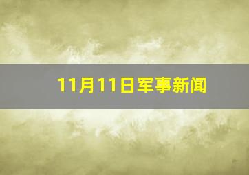 11月11日军事新闻