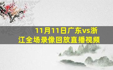 11月11日广东vs浙江全场录像回放直播视频