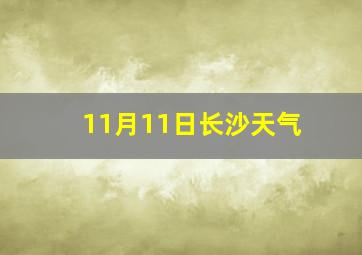 11月11日长沙天气