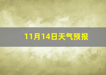 11月14日天气预报