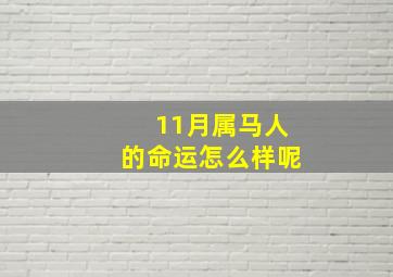 11月属马人的命运怎么样呢