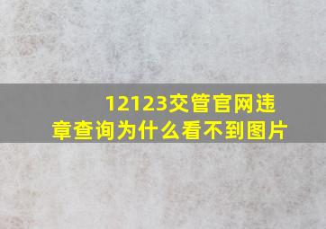 12123交管官网违章查询为什么看不到图片