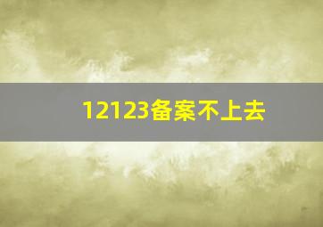 12123备案不上去