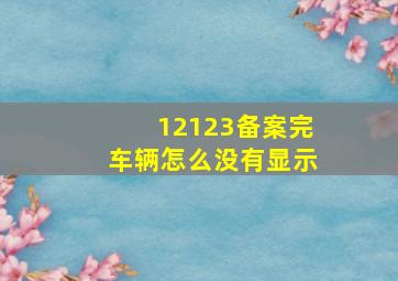 12123备案完车辆怎么没有显示