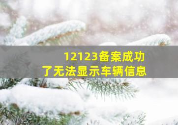 12123备案成功了无法显示车辆信息