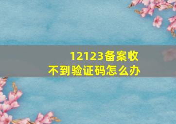 12123备案收不到验证码怎么办