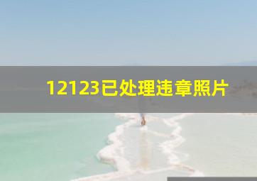 12123已处理违章照片