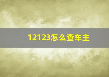 12123怎么查车主