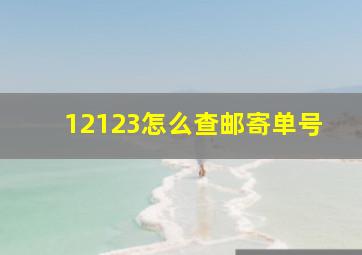 12123怎么查邮寄单号