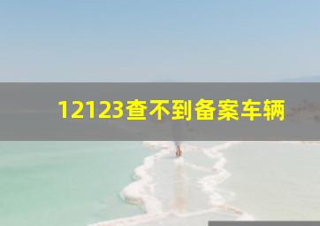 12123查不到备案车辆