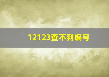 12123查不到编号