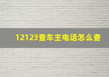 12123查车主电话怎么查