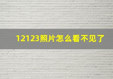 12123照片怎么看不见了