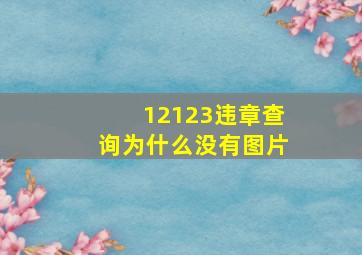 12123违章查询为什么没有图片