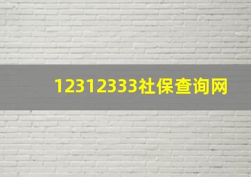 12312333社保查询网