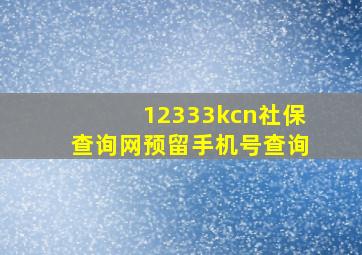 12333kcn社保查询网预留手机号查询