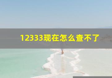 12333现在怎么查不了