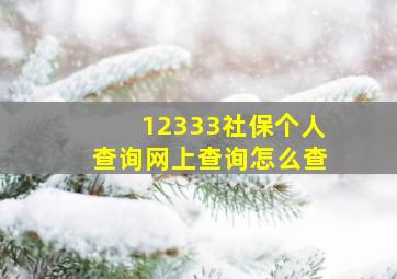 12333社保个人查询网上查询怎么查