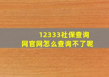 12333社保查询网官网怎么查询不了呢